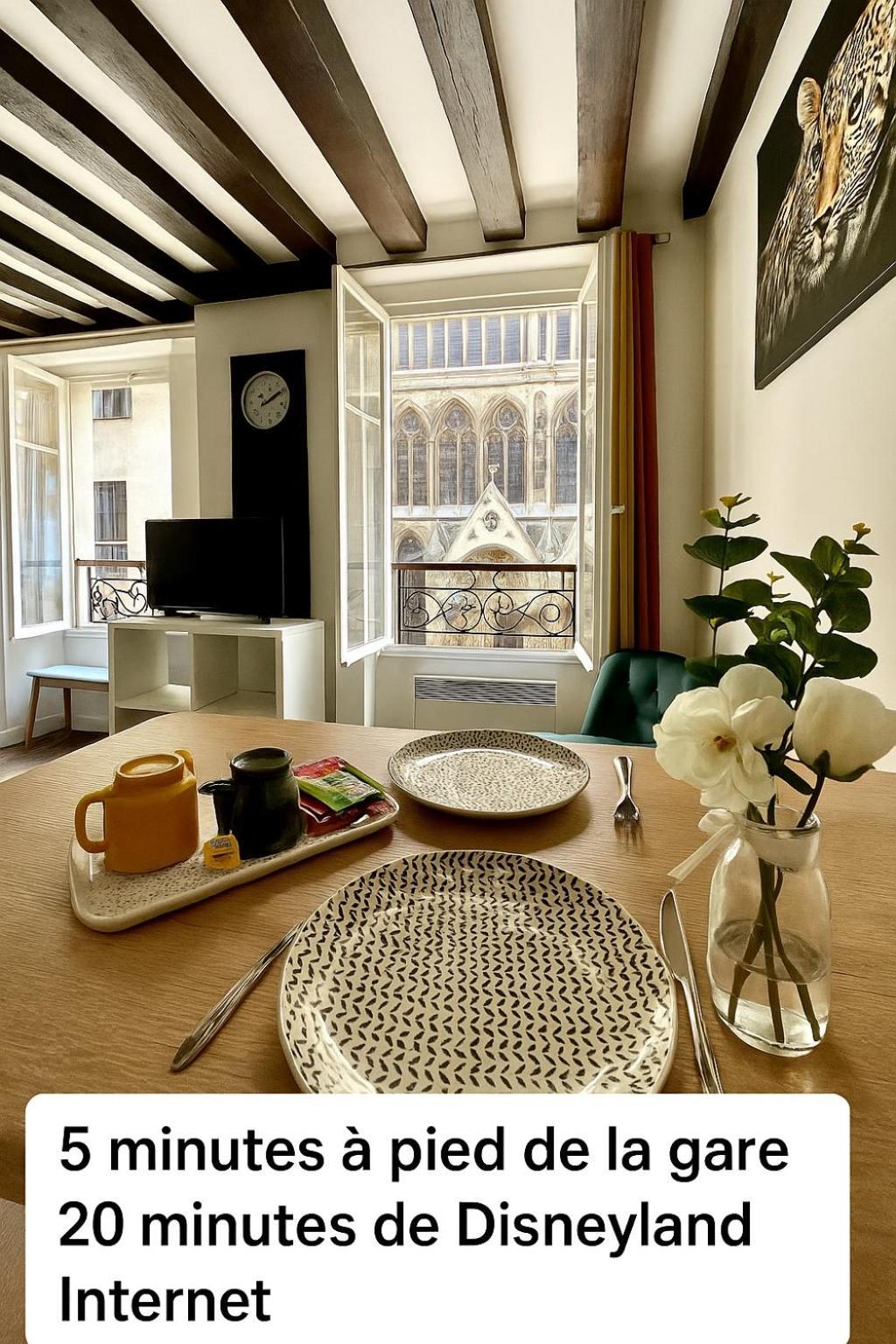 Appartement Vue Cathedrale- Centre Ville Meaux-Gare-Disney Екстериор снимка